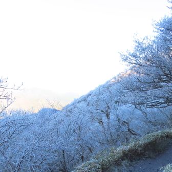 超強風だけれど、そんなに寒くない。
上はモンベルのロンTにハードシェル、下はワークマンのタイツにGUのいつものジョガーパンツで道民仕様