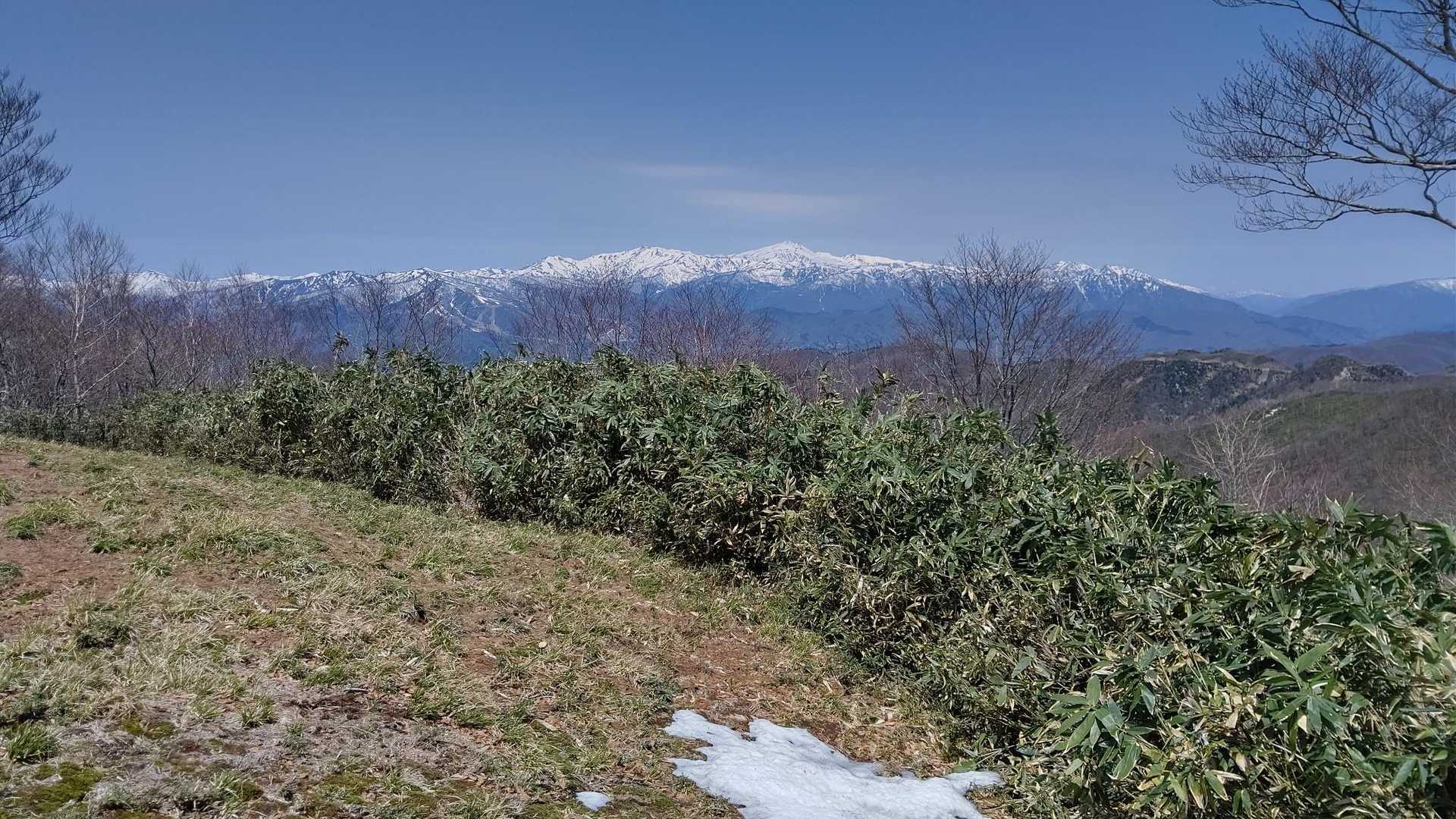 白尾山登山口-白尾山 往復コースの写真
