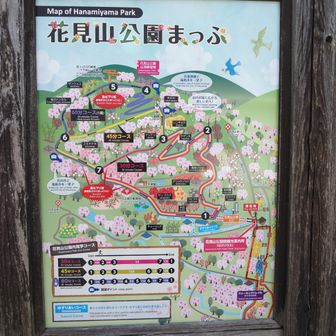 ここからは本命の⁉️花見山です