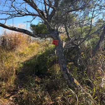 そこからすぐに和田山南峰。