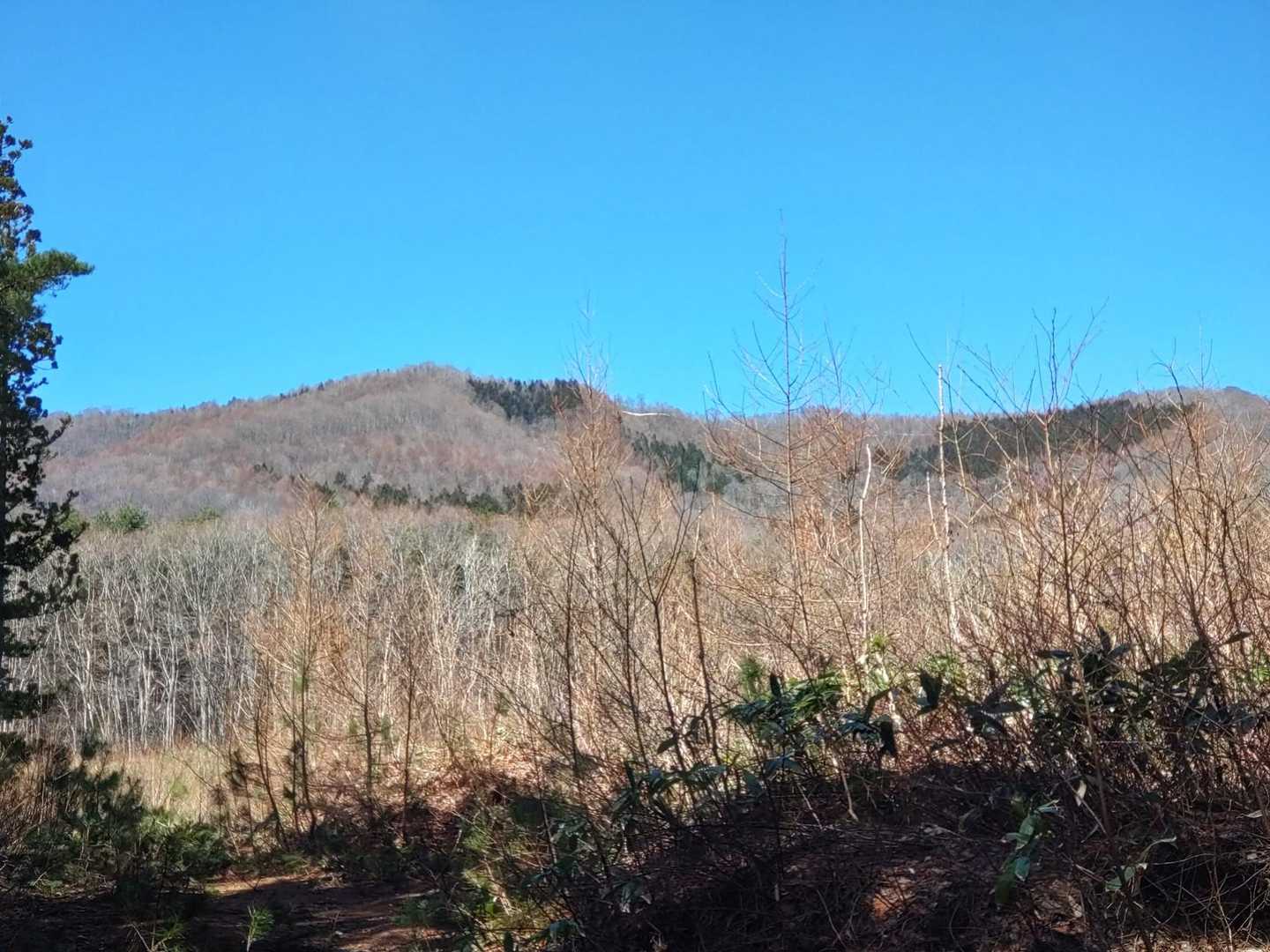 途中の伐採地からの蛤山