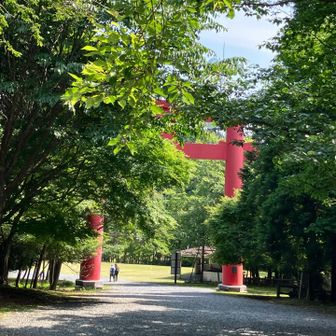 新緑が眩い
