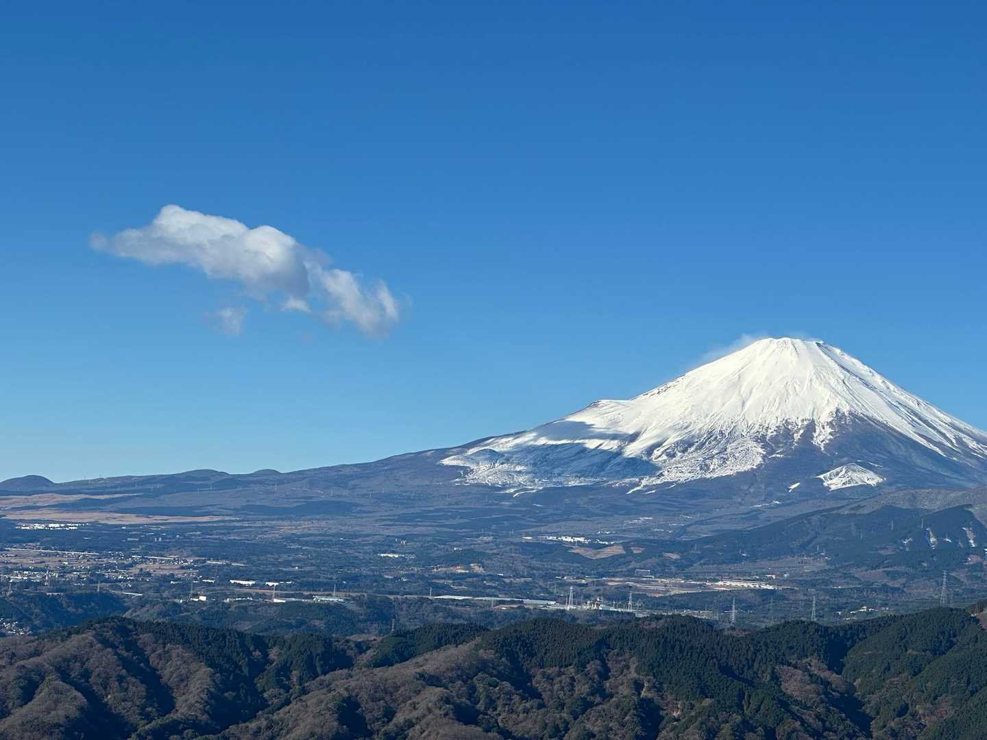 大野山 往復コースの写真