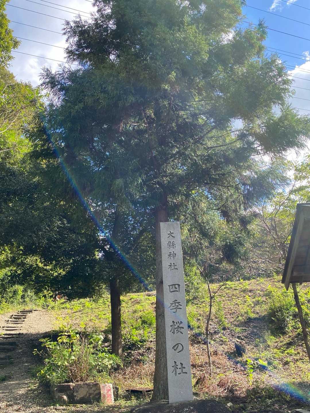 尾張本宮山 往復コースの写真