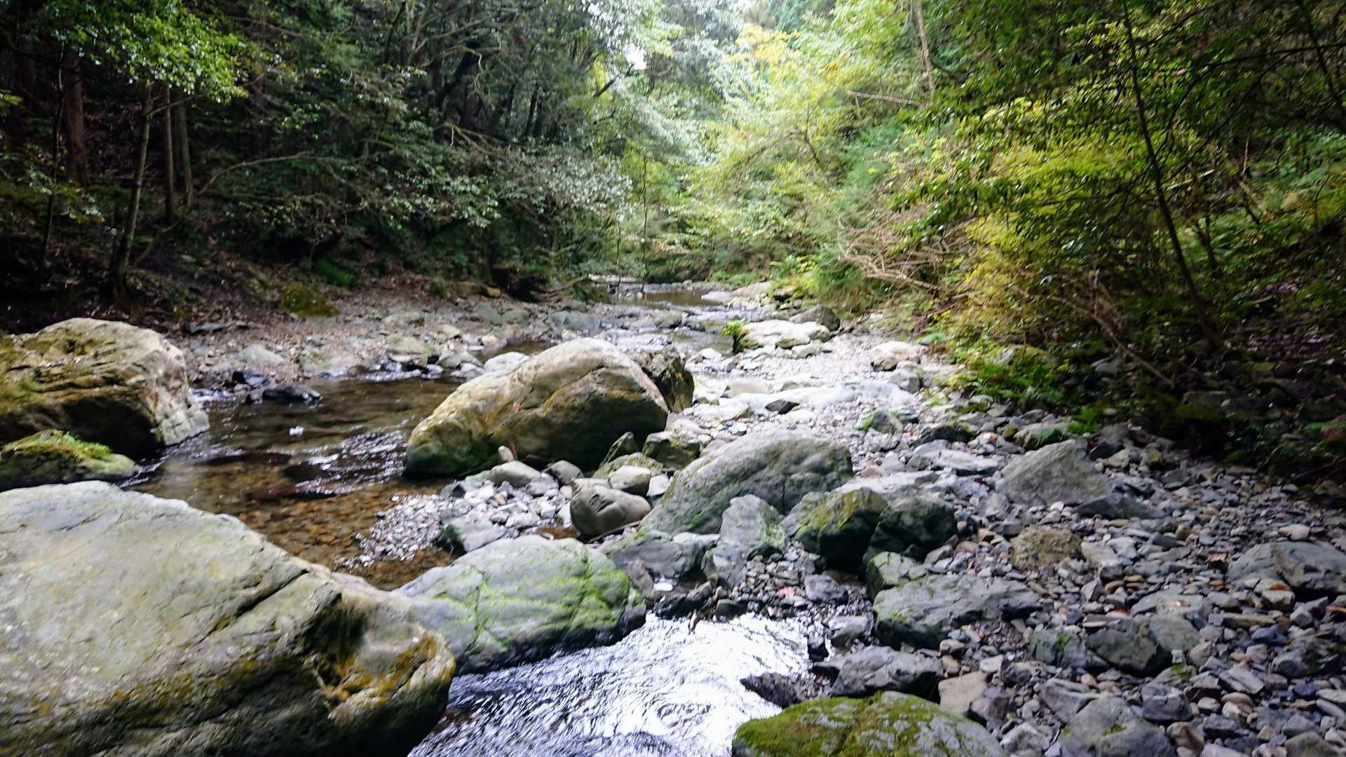 大門橋バス停-多度大社前バス停-多度大社-多度山道入口-多 周回コースの写真