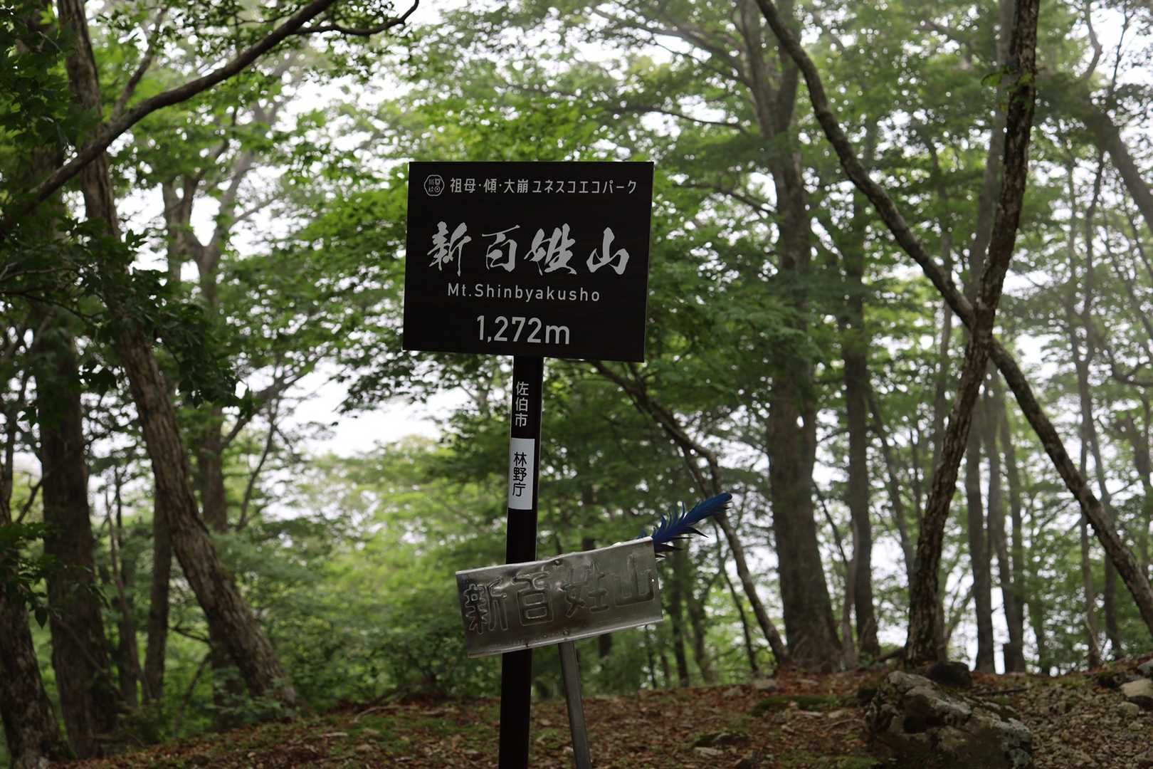 杉ヶ越-新百姓山 往復コースの写真