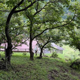 びりゅう館に下山