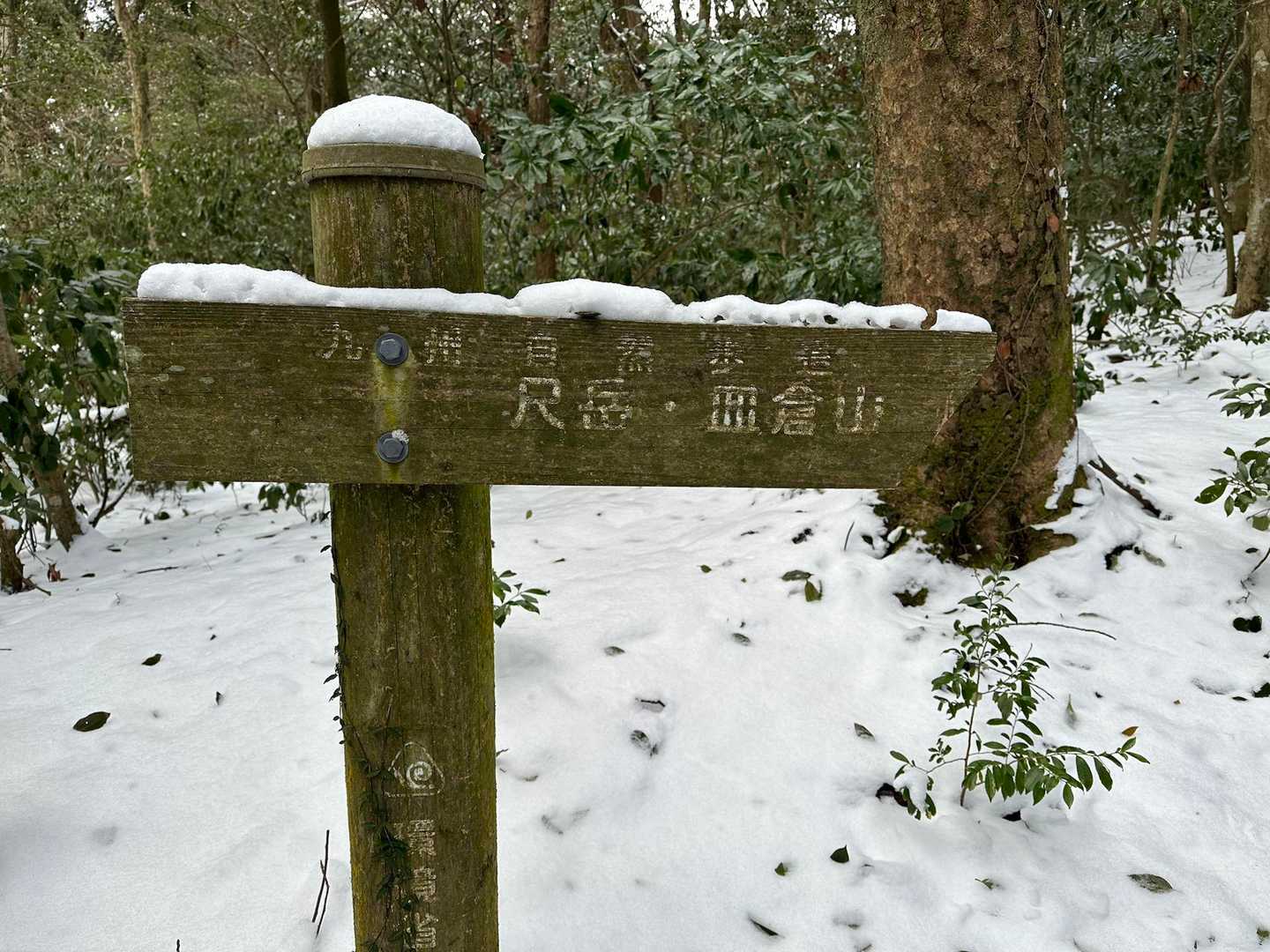 山瀬越-赤松台-尺岳 周回コースの写真