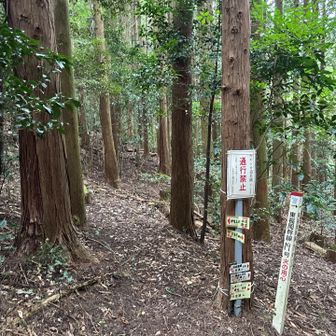 ここから左⬅️
カモシカ新道に行きます