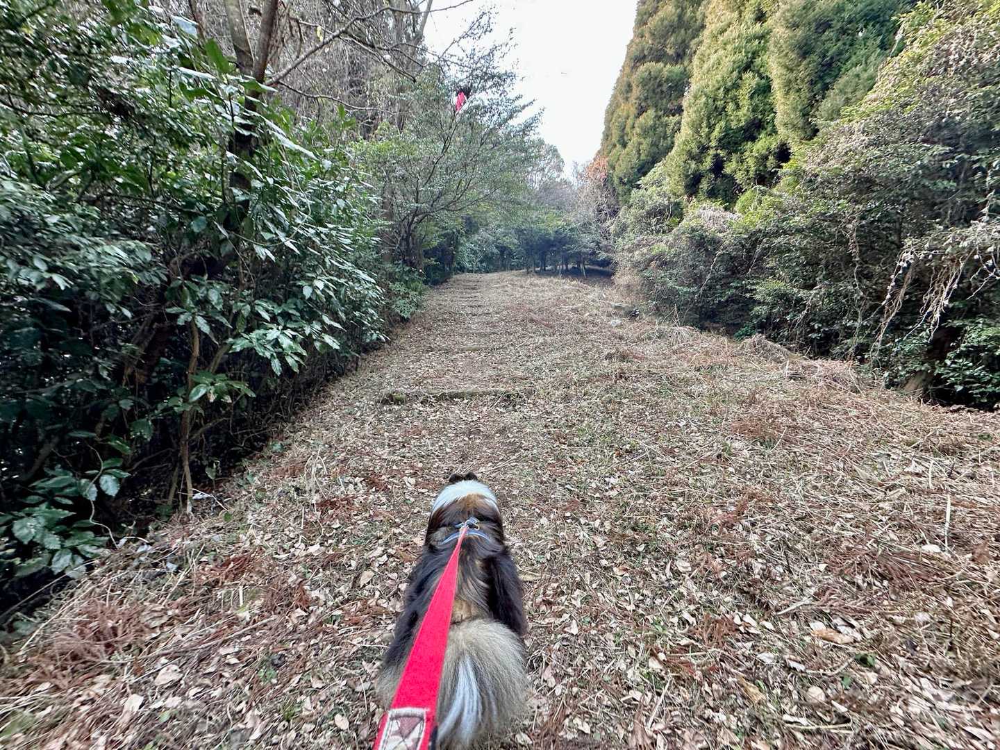 ずいぶん広いな‼️