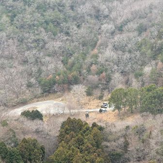 駐車場が見えた