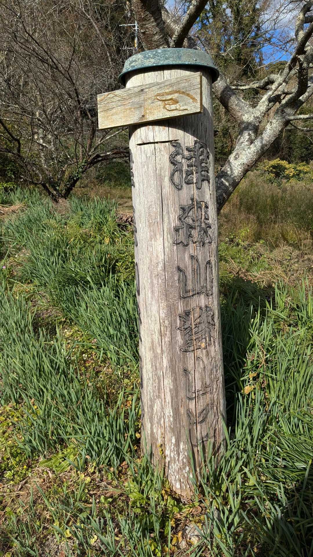 津森山登山口🙂手前の空き地に🅿️