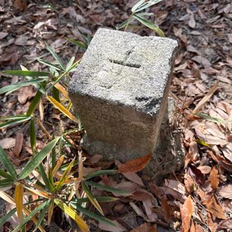 ありました。登山道から少し入ったところに。