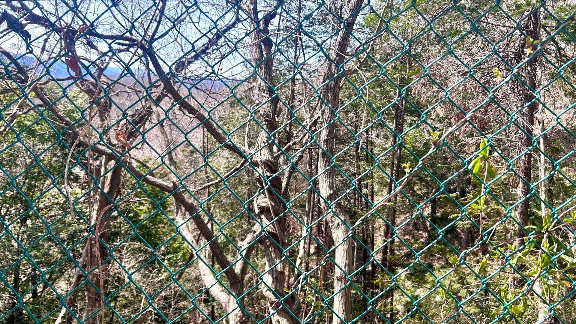 何でネジネジになっちゃうんだろう⁉️🤔