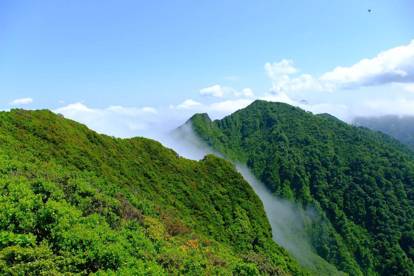 矢筈ヶ山の写真