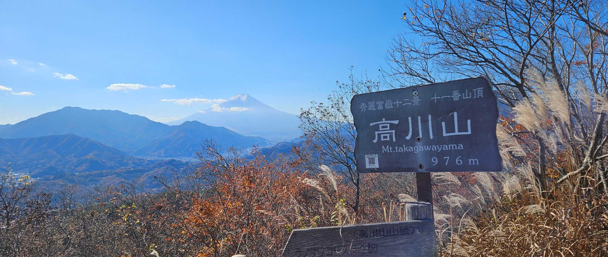 高川山 往復コースの写真
