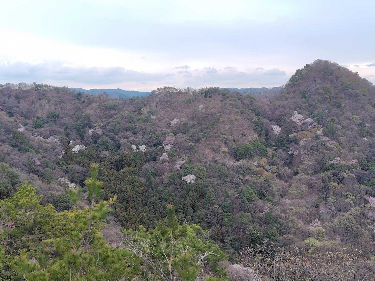 出尾根コース登山口-三床山 周回コースの写真