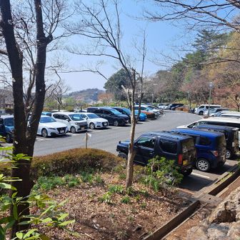 お疲れ⛰️でした