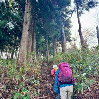 登山道には雪はありません❄️