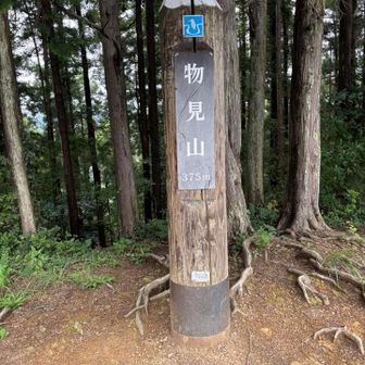 物見山