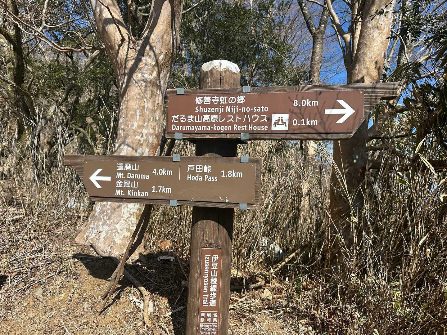 だるま山高原レストハウスに駐車して出発🌈
まずは金冠山を目指します🐾