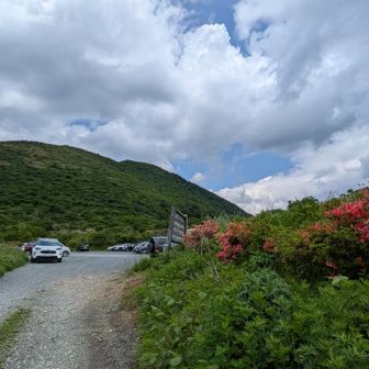 無事🅿️に下山する事にが出来ました👍　先日と違ってたくさんの車が駐車してます😊
たくさんの🌼🌸達と出逢えた充実した山形遠征となりました👍　