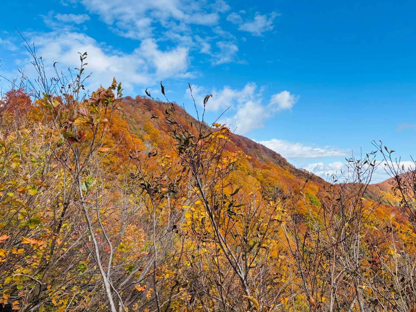 甑岳が燃えている✨