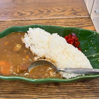 徳沢園の野沢菜チャーハンを心の糧に長い坂を降りて来ましたが売り切れ😭失意の中カレーの食券を買ったつもりが大盛りカレー❗️