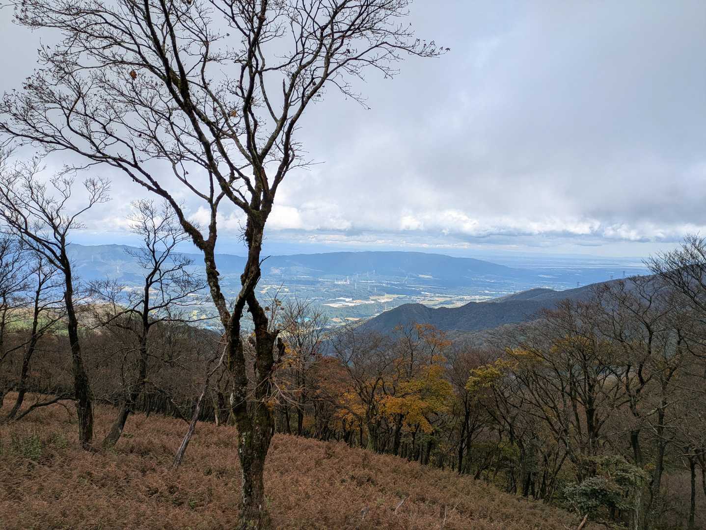 コグルミ谷登山口-天ヶ平-御池岳-鈴北岳-鞍掛峠-鞍掛トン 縦走コースの写真