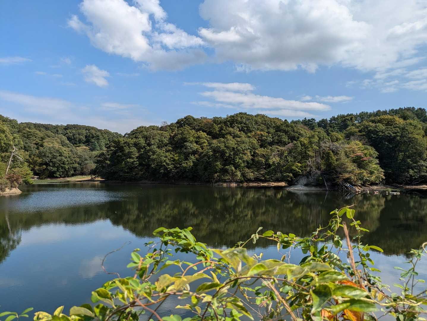 津田駅-国見山登山口-国見山-交野山 周回コースの写真
