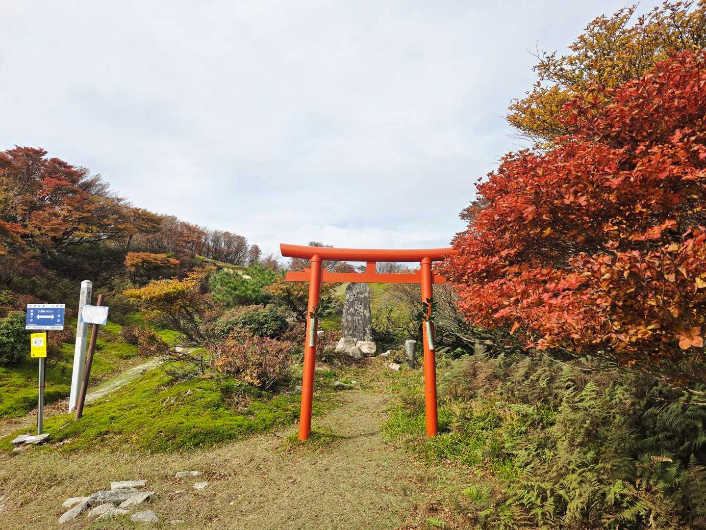 紅葉と鳥居、イイネ