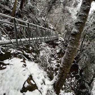 裏登山口まで車で行けるけど