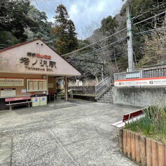 再びロードで登りからの階段を経て塔ノ沢駅。
秘境駅じゃないけど、秘境駅感が凄い…。