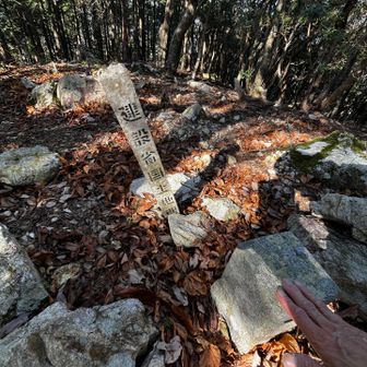 高霧間の三等三角点