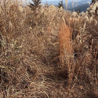 下山路
真っ直ぐ進むと、変な方向にいっちゃいます
