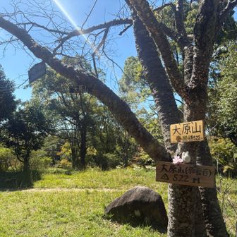 ぼくらの公園からは通行止め、森のレストハウス経由で大原山