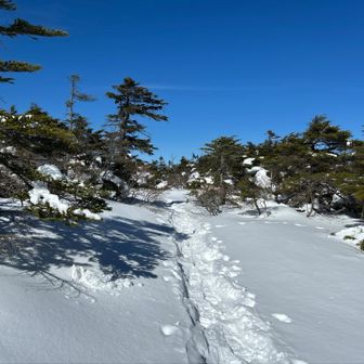 下山します！ 小屋までは沢山の方が歩いてますね🤗