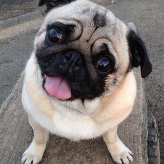 ブループラネット