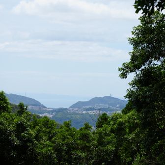 ここからも海が見えます