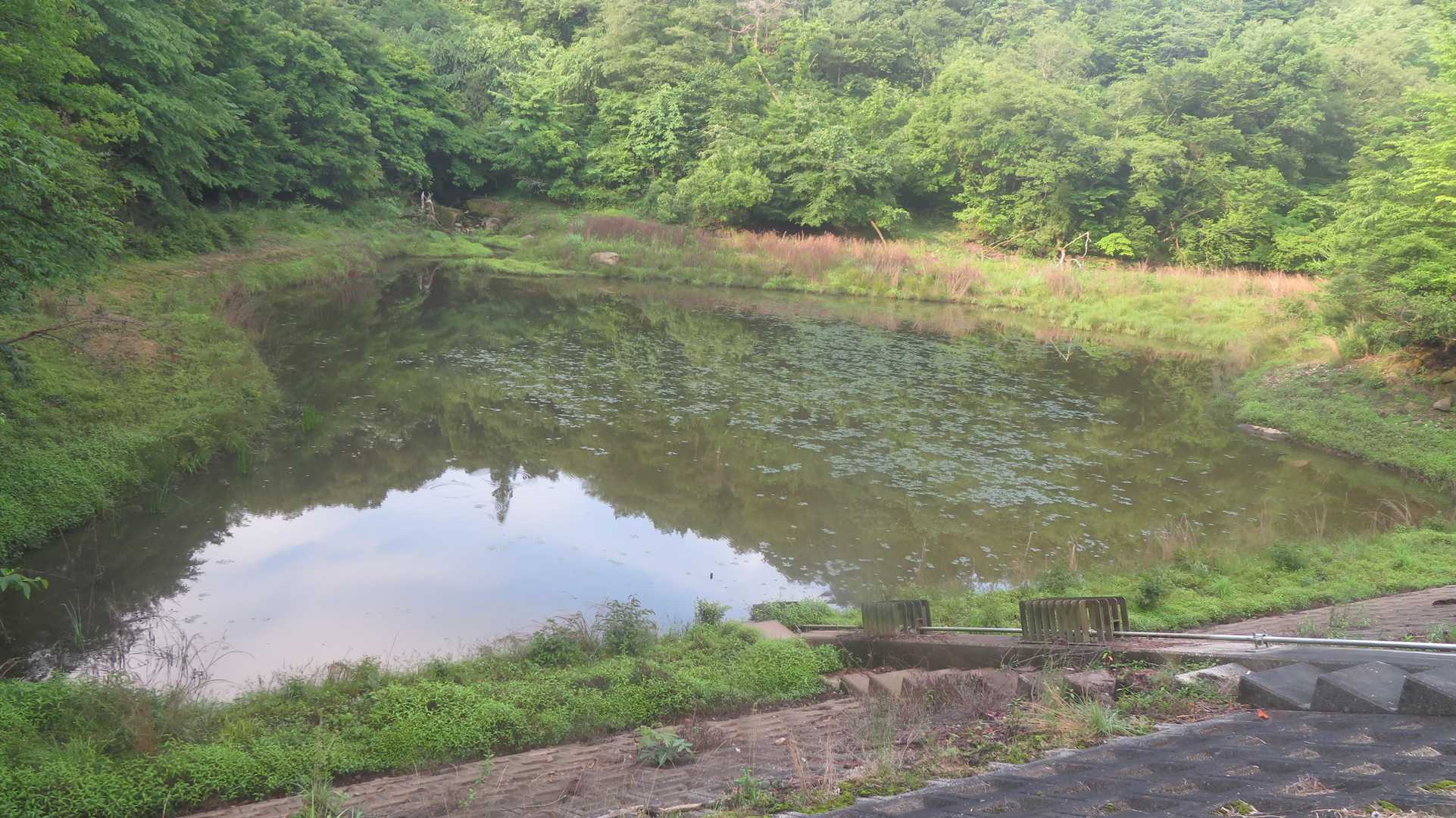 本城溜池