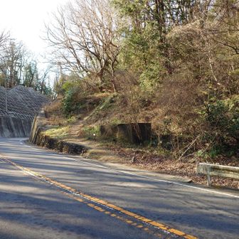 二ツ塚峠では車道の反対側を登り返す
