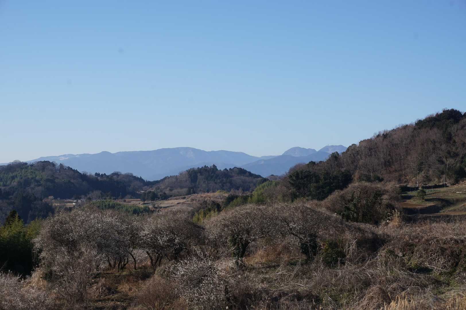 箱根の山が見える