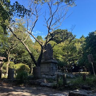 まだまだ夏の景色だけど、もうそろそろ終わり🍉
