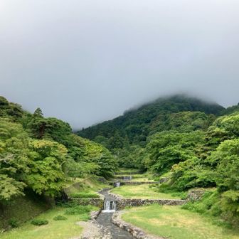 山頂はガスガスです😅