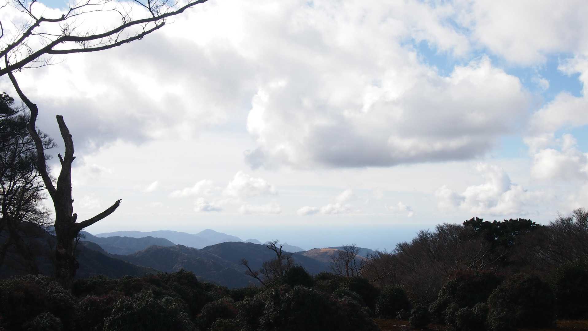 天城峠バス停-天城峠-二本杉峠-滑沢峠-つげ峠-猫越峠-水 縦走コースの写真