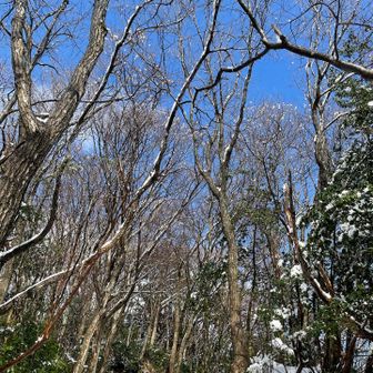 予想していなかった青空
ありがとうございます