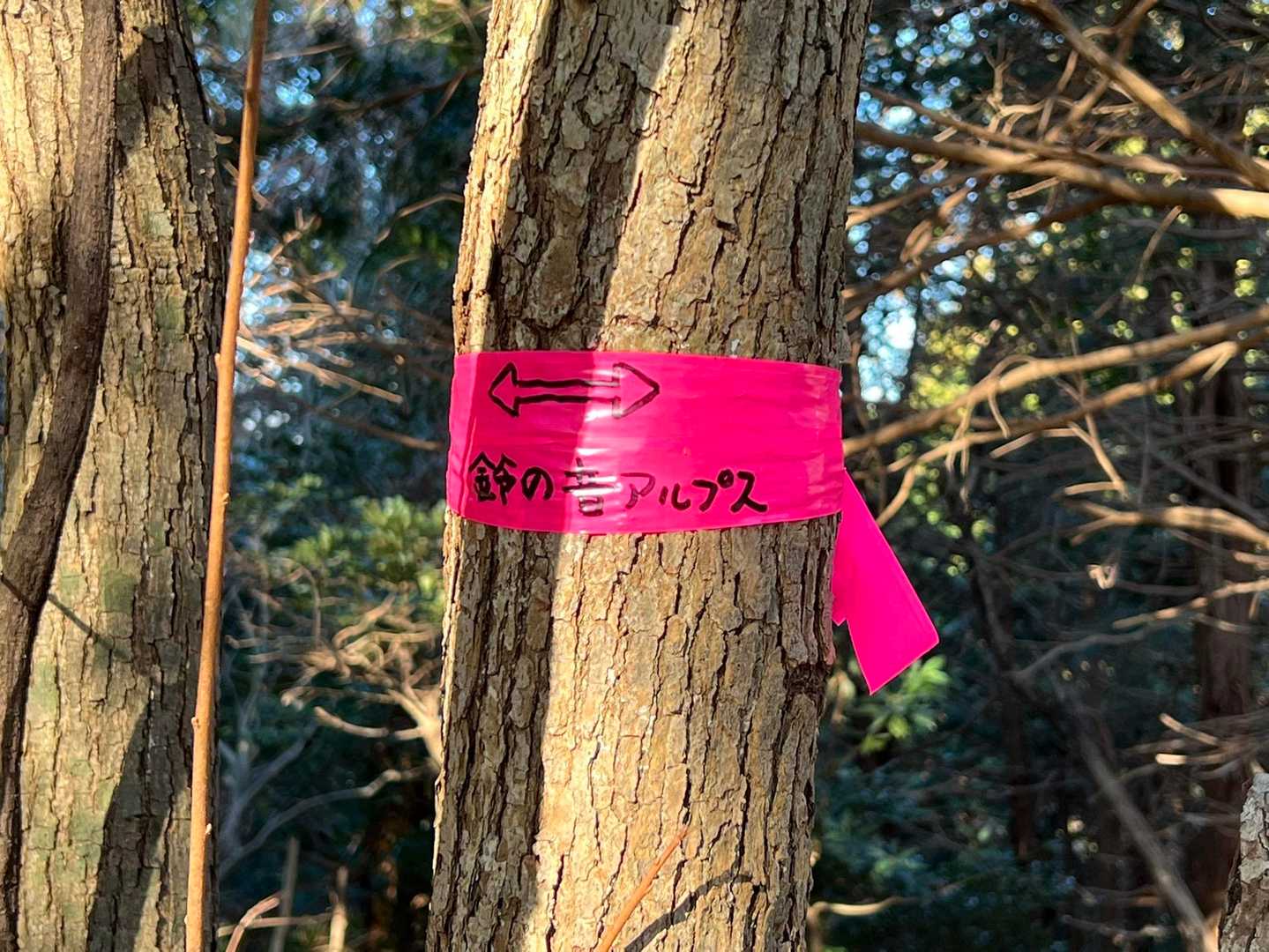 桝形山-鉢ヶ峰 往復コースの写真
