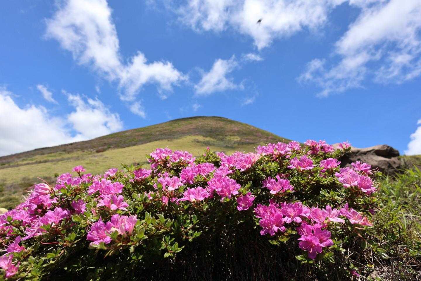 大曲登山口-諏蛾守越-三俣山 往復コースの写真