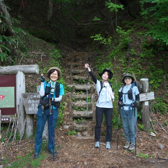 久しぶりに扇ノ山に登ります。