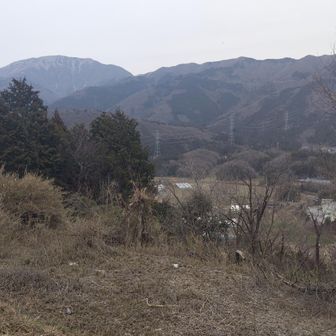 伊吹山と南東尾根がよく見える。